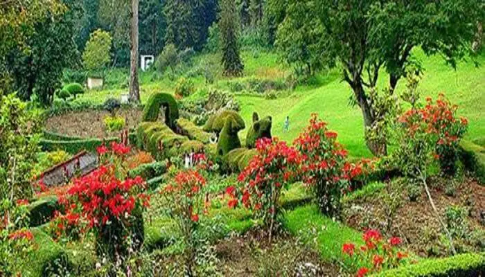 Chettiar Park In Kodaikanal