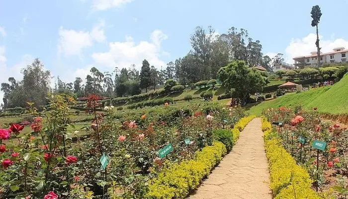 Government Rose Garden