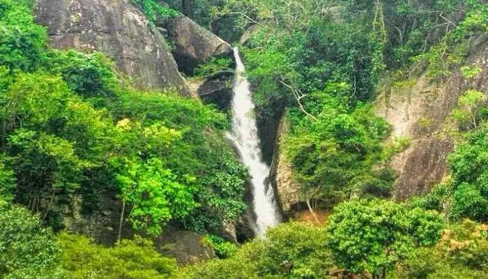 Olakaruvi Waterfalls kanyakumari