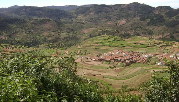 Aerial View of a Village