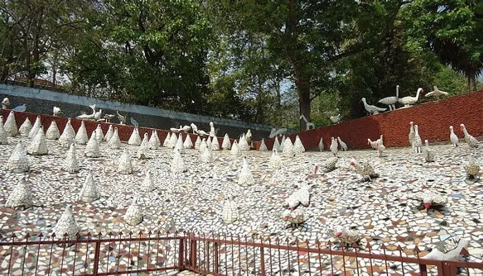 Rock Garden