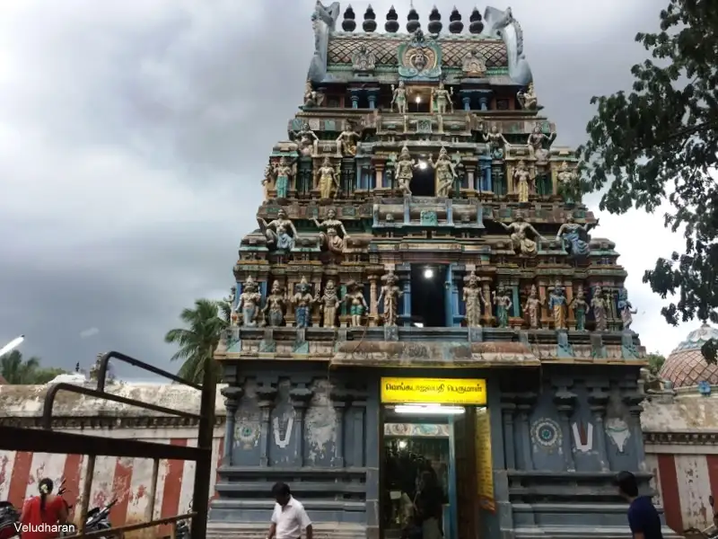 Thiruvarur Tour Packages from Chennai - Tamilnadu Travels