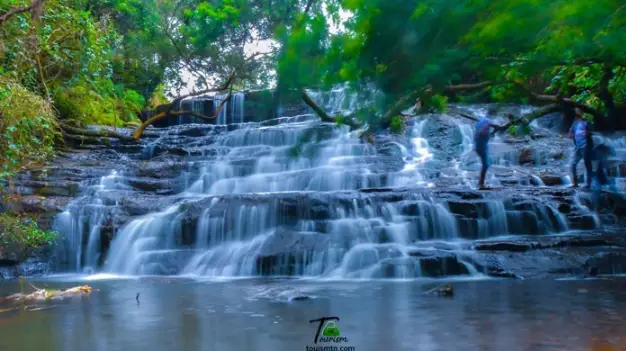waterfall in a jungle
