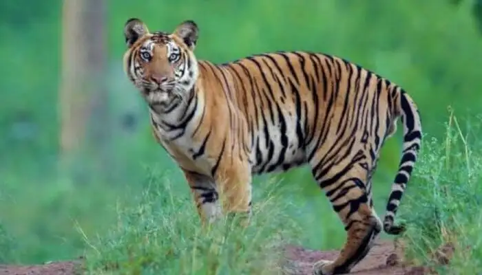 acj-2410-places-to-visit-near-coimbatore (10)