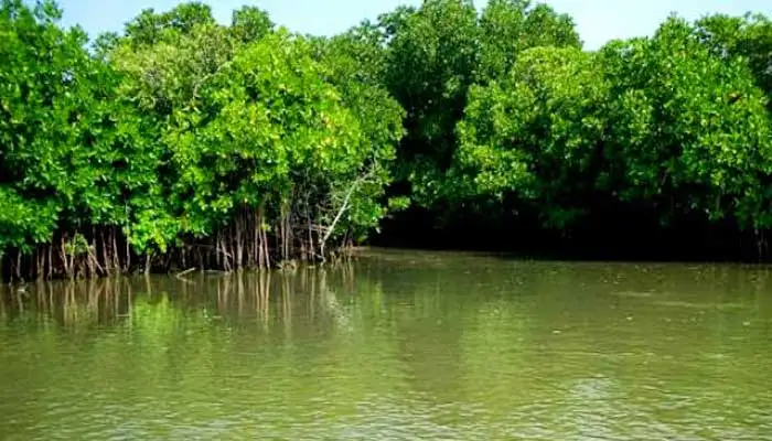 Thiruvarur Tour Packages from Chennai - Tamilnadu Travels