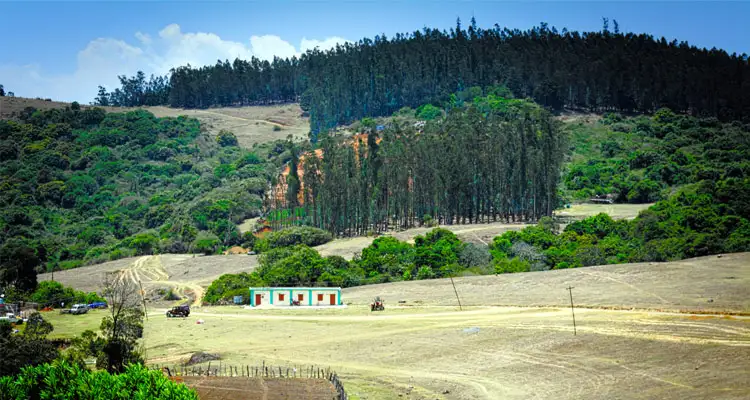 Ooty Tour Packages From Chennai, Chennai to Ooty package by Car