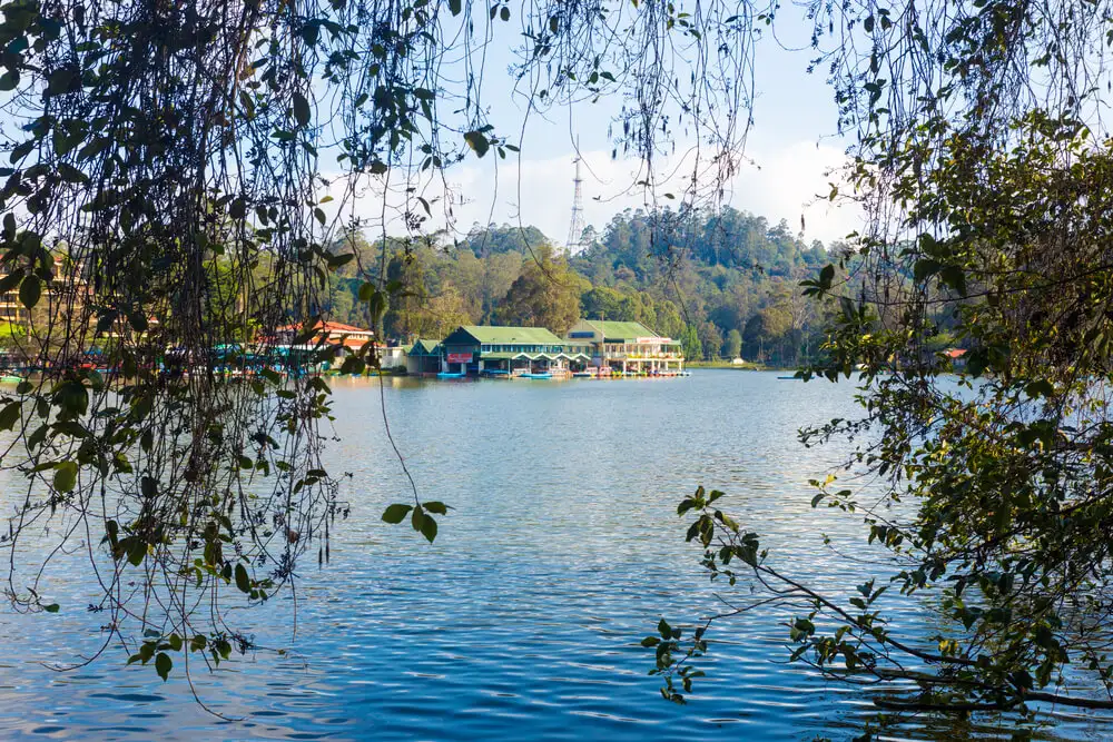 Kodaikanal lake through bushes