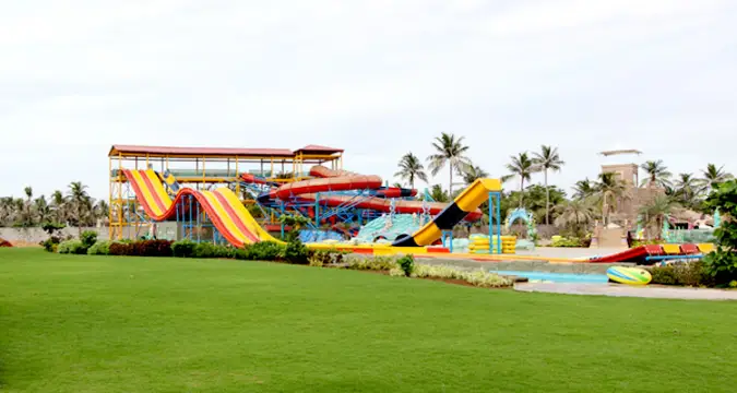 VGP Universal Kingdom